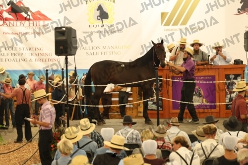 JHM_1107