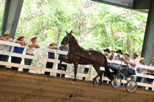 JHM_0190
