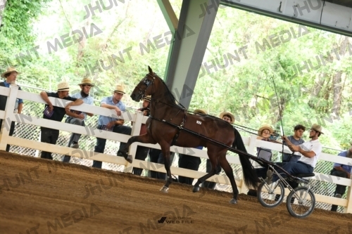 JHM_0191