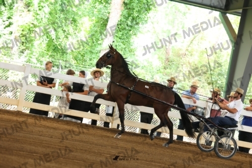 JHM_0192