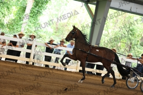JHM_0198
