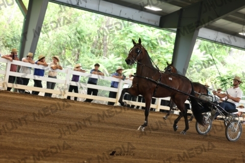 JHM_0239