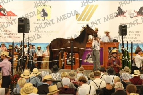 JHM_1075