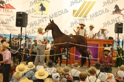 JHM_1082