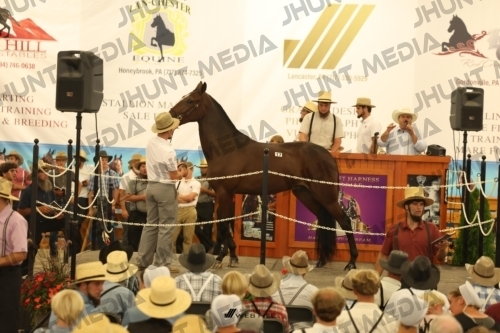 JHM_1083