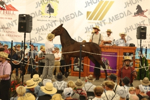 JHM_1084
