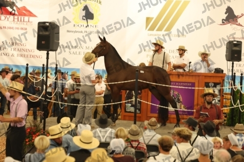 JHM_1085