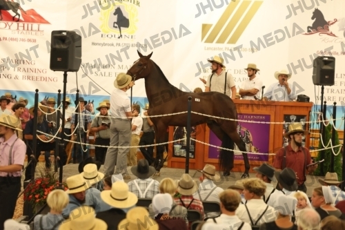 JHM_1086