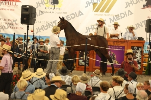 JHM_1087
