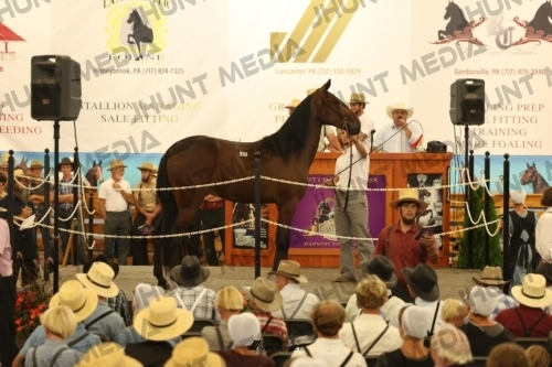 JHM_1090