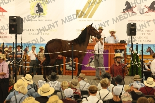 JHM_1091
