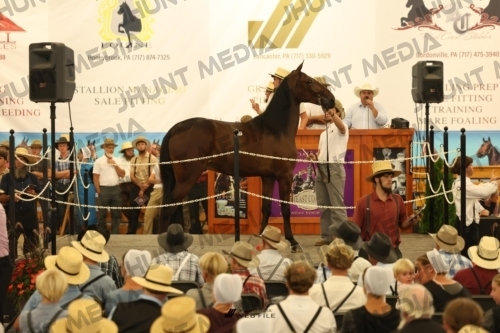 JHM_1092