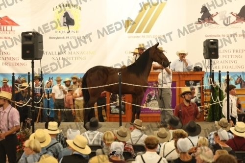 JHM_1095