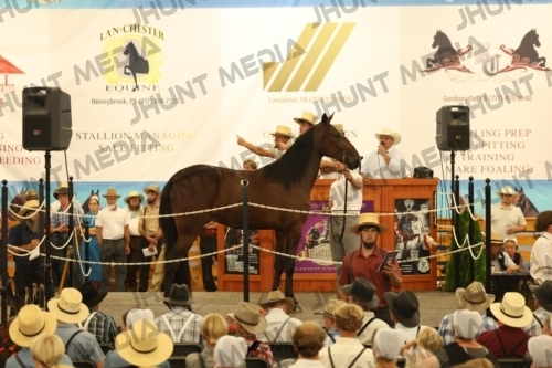 JHM_1099