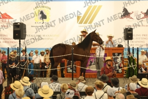 JHM_1100
