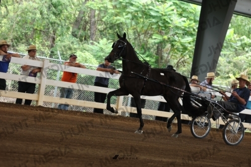 JHM_0033