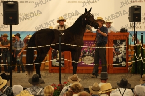 JHM_0873