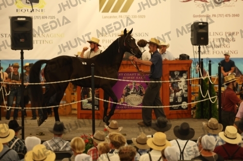 JHM_0876