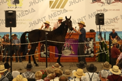 JHM_0877