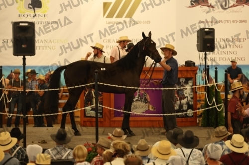 JHM_0878