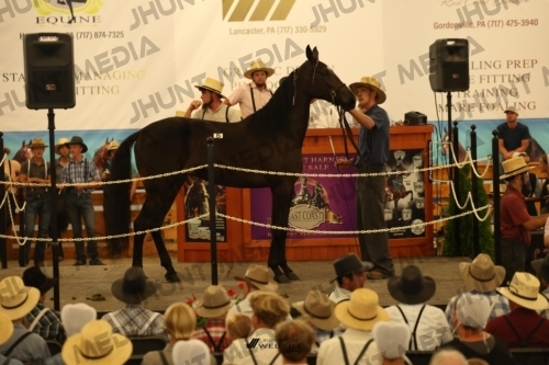 JHM_0879