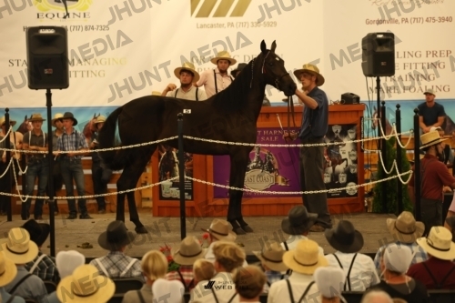 JHM_0880