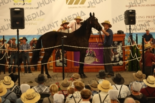 JHM_0881