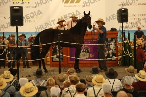 JHM_0882