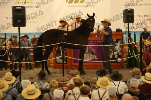 JHM_0883