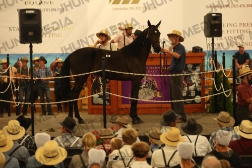 JHM_0884