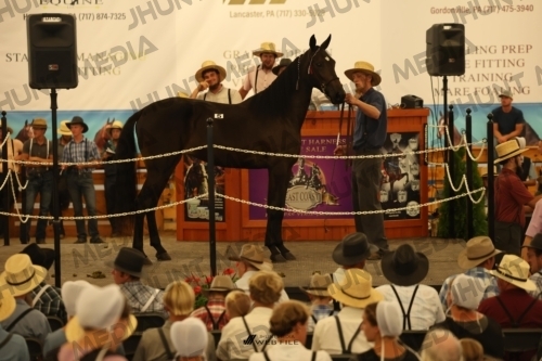 JHM_0885