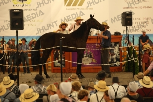 JHM_0886