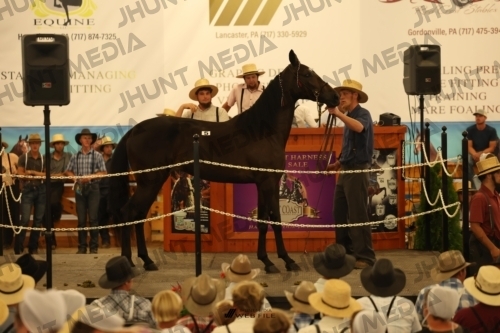 JHM_0887