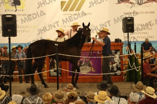 JHM_0889