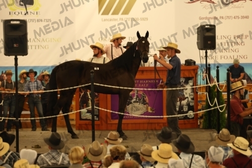 JHM_0890
