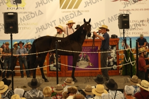 JHM_0891