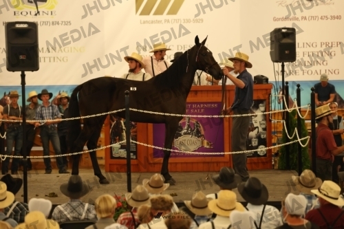 JHM_0893