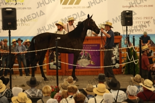 JHM_0894
