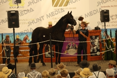 JHM_0917