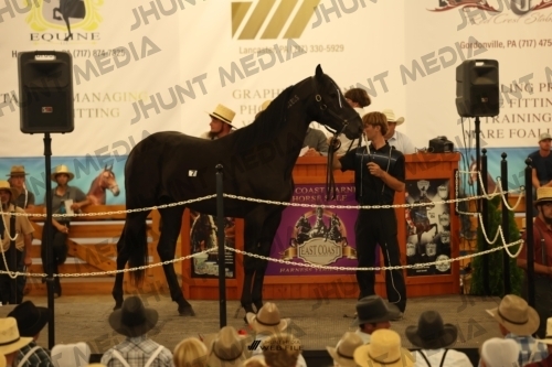JHM_0918