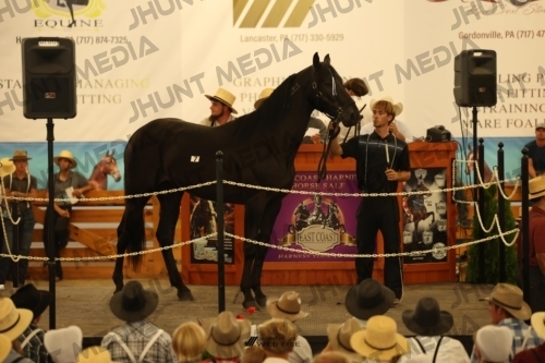 JHM_0919