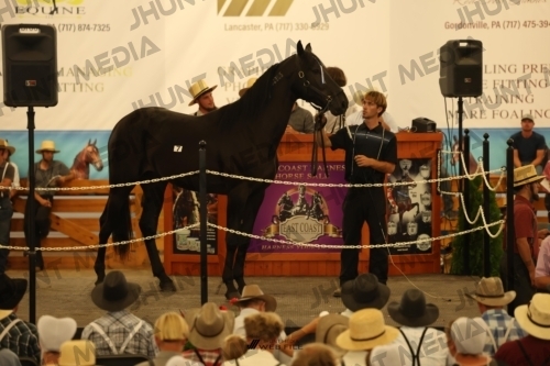 JHM_0920