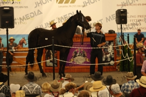 JHM_0921
