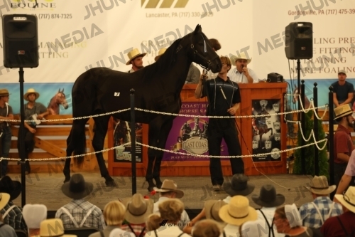 JHM_0922