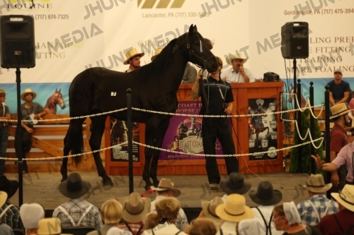 JHM_0923