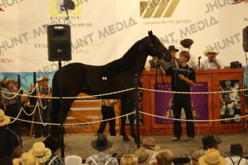 JHM_0925