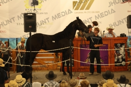 JHM_0926