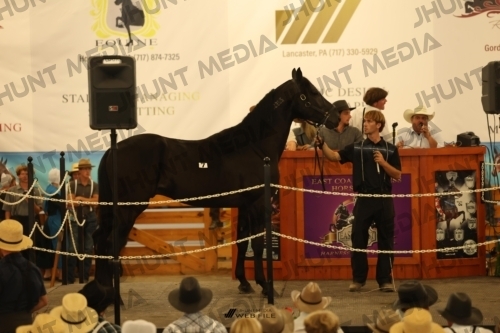 JHM_0931