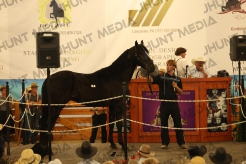 JHM_0934