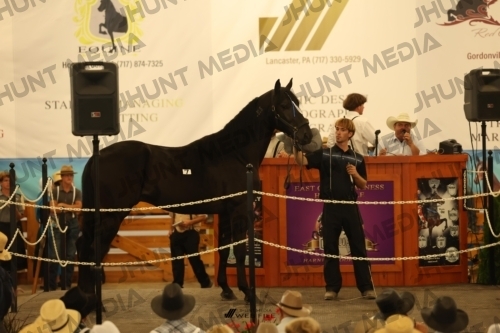 JHM_0935